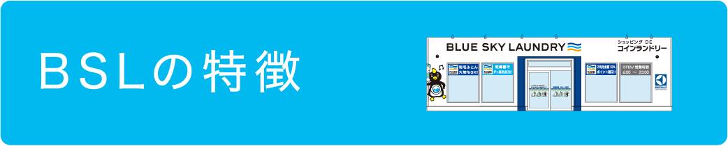 BSLの特徴